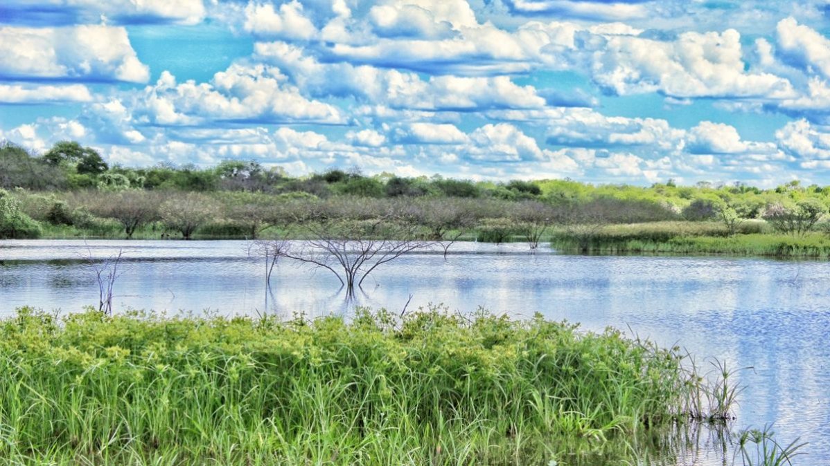 Los parques nacionales del Chaco llegan a