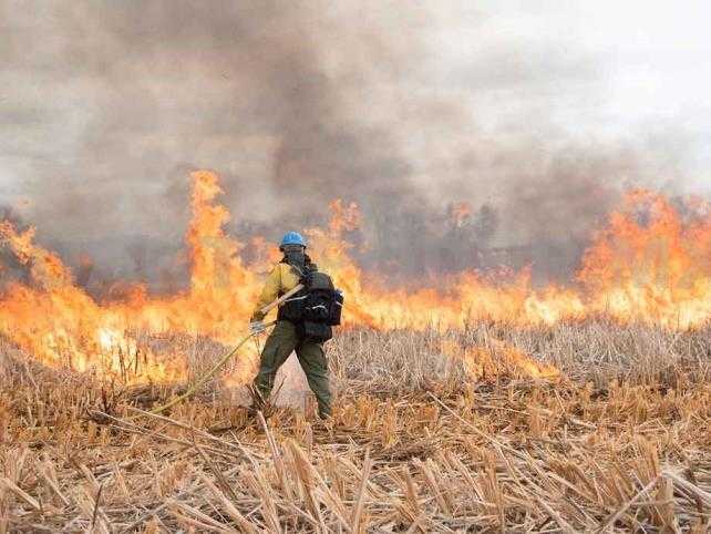 Informan que el peligro de incendios en Chaco es alto