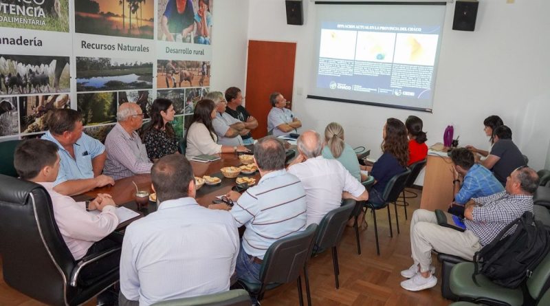 Proponen declarar la emergencia agropecuaria en 6 Departamentos del Chaco, ante la ola de calor y el déficit hídrico