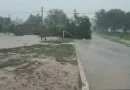 Fuerte temporal golpeó a La Eduvigis: calles inundadas y árboles caídos