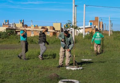 La Municipalidad de Resistencia ejecutó tareas de limpieza y mantenimiento en espacios públicos de la zona sur