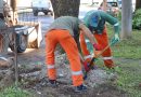 Operativo de limpieza urbana en las 47 avenidas de Resistencia tras el mejoramiento climático