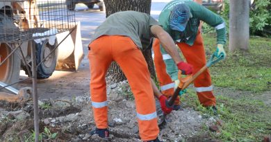Operativo de limpieza urbana en las 47 avenidas de Resistencia tras el mejoramiento climático