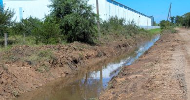 El Municipio de Resistencia ejecuta tareas de limpieza en el Canal Borrini, en la zona norte de la ciudad