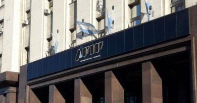 En medio de una situación crítica de las cuentas fiscales, la titular de AFIP achicó su sueldo millonario