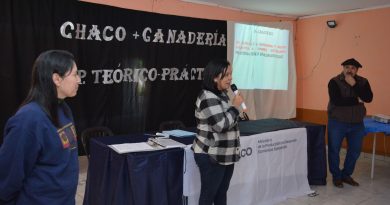 Chaco + Más Ganadería: técnicos de producción capacitaron sobre reproducción bovina a productores de Enrique Urien