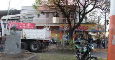 Poda Responsable: intervención urbana realiza el Municipio de Resistencia en Avenida Italia del 0 al 100 y en Villa Elisa