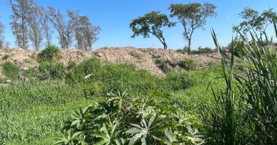 Emplazaron a empresa a retirar relleno de tierra colocado sobre el Riacho Arazá