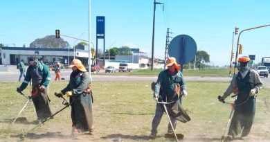 La Municipalidad de Resistencia realizó un operativo de limpieza y desmalezado en la Ruta Nacional N° 11.