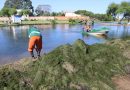 En tierra y con “Carpinchos”, la Municipalidad de Resistencia cuida la belleza ecológica de la Laguna Francia