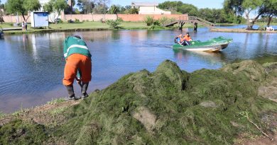 En tierra y con “Carpinchos”, la Municipalidad de Resistencia cuida la belleza ecológica de la Laguna Francia