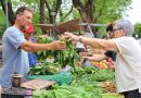 Ferias Francas: El Municipio informó que para participar los productores se pueden registrar vía web