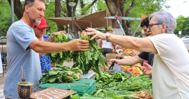 Ferias Francas: El Municipio informó que para participar los productores se pueden registrar vía web