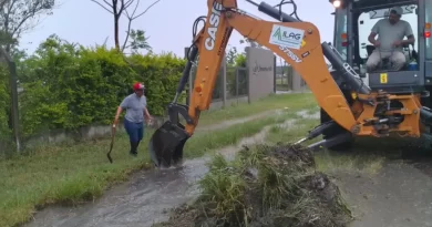 Tormenta en Resistencia: el municipio intervino en casos puntuales y mantiene el alerta