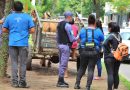 Resistencia: secuestraron un carro tirado por un caballo, a metros del edificio municipal