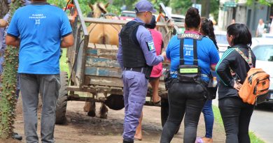 Resistencia: secuestraron un carro tirado por un caballo, a metros del edificio municipal