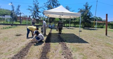 Barranqueras: El programa «Cultivemos Alimentos» se encuentra 100% activo