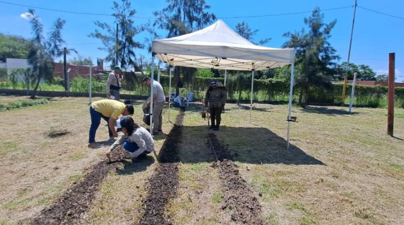 Barranqueras: El programa «Cultivemos Alimentos» se encuentra 100% activo