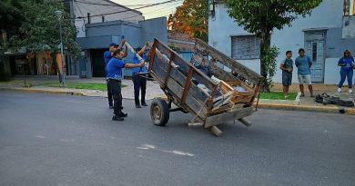 Rescataron a un caballo y decomisaron el carro que tiraba, tras accidente