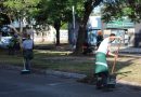 Desmalezado y barrido en canteros centrales, banquinas y veredas de avenidas de Resistencia