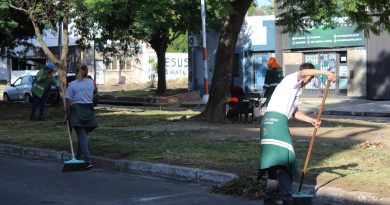 Desmalezado y barrido en canteros centrales, banquinas y veredas de avenidas de Resistencia