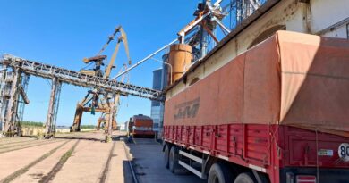 Después de años de inactividad: el Puerto de Barranqueras recibe trigo proveniente de Santa Fe
