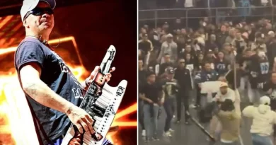 Batalla campal y un muerto en el recital de Damas Gratis
